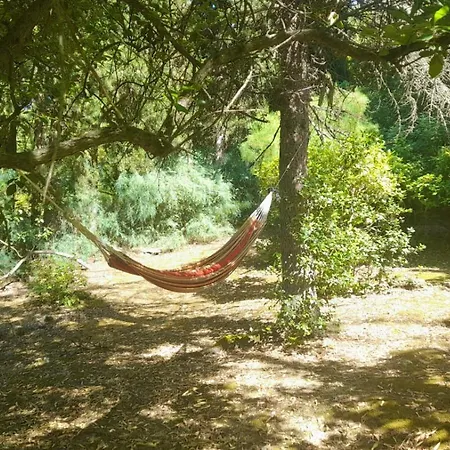 Maison Vive La Vie 3*